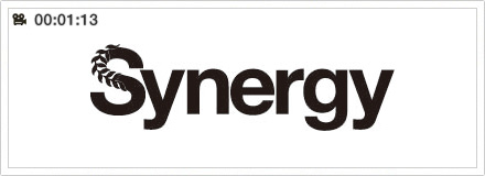 Synergy