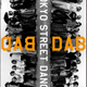 NEXT DABDAB is 2009.01.15